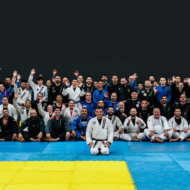 Disciplina